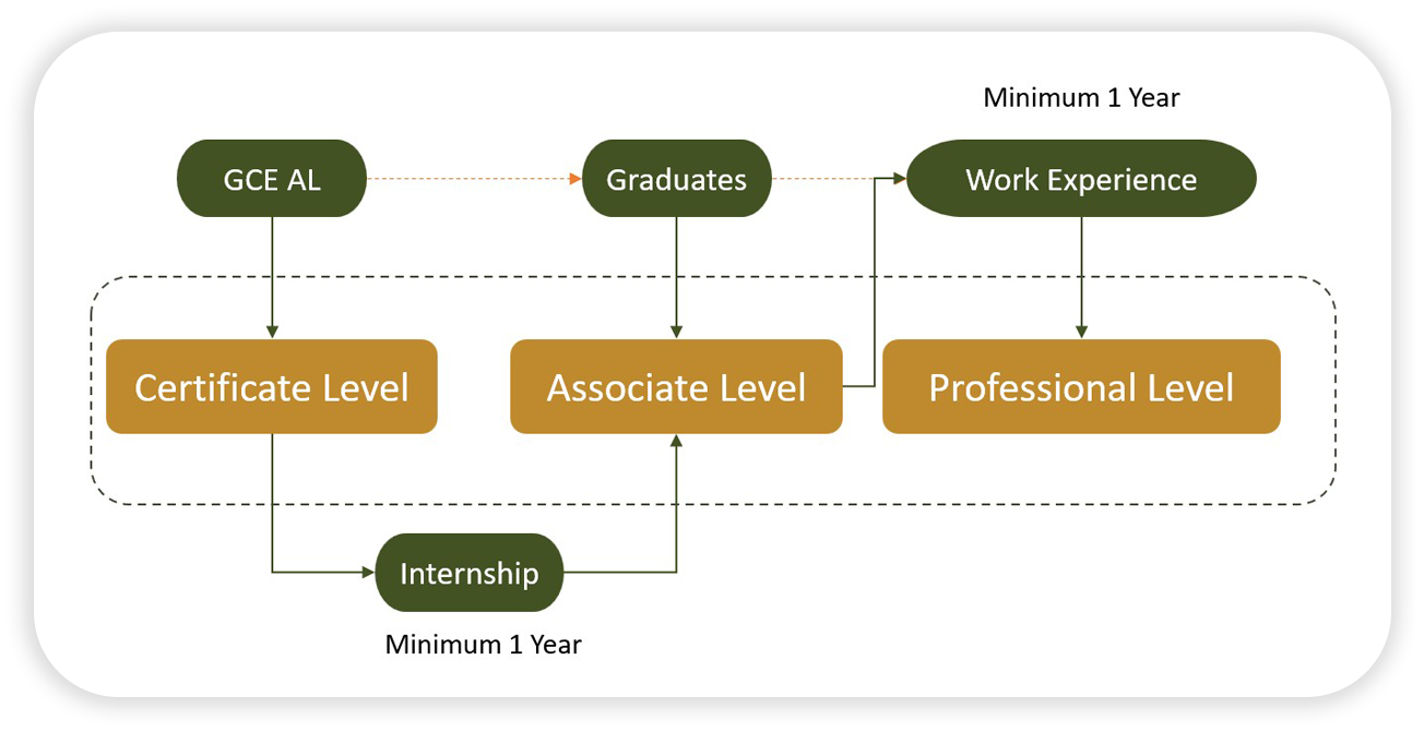 Pathway Diagram - Growth Map